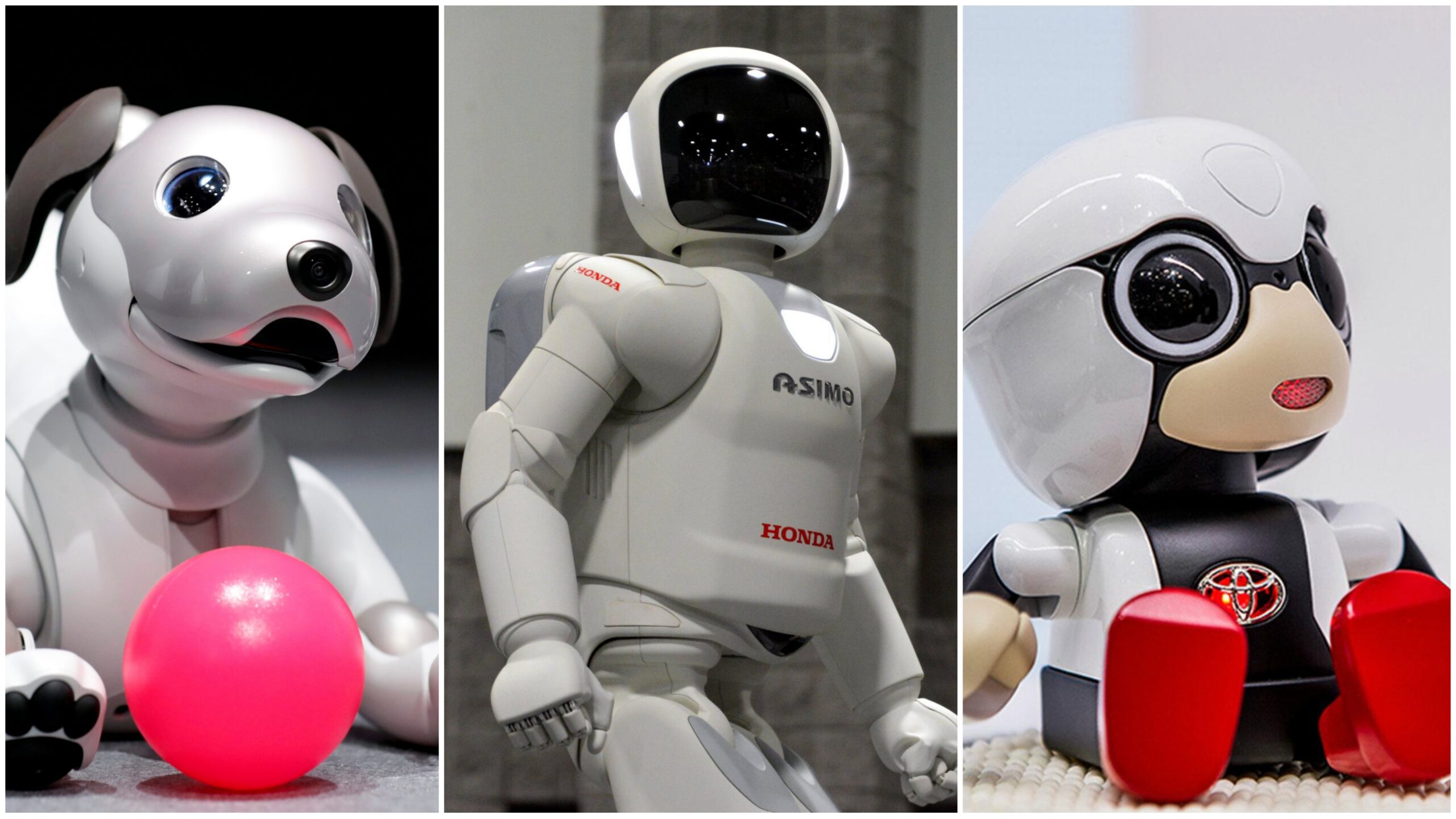 Top 5 Japanese Robots You Should Check out in 2023 - Robotics India Live